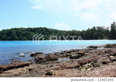 Beach and sea 12407294