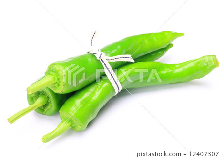 Tosa Sweetie 12407307