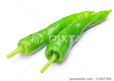 Tosa Sweetie 12407308