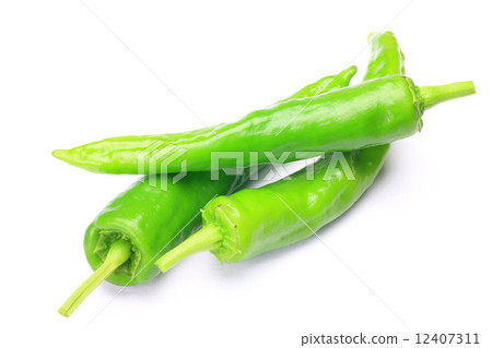 Tosa Sweetie Tosa Sweetie 12407311