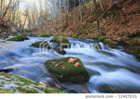 Full-flowing stream Full-flowing stream 12407810