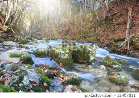 Full-flowing stream Full-flowing stream 12407811