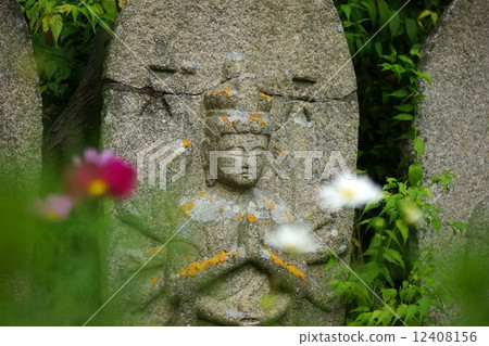 Stone Buddha and cosmos of Kurokuji 12408156