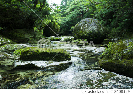 Yakushima River 12408369