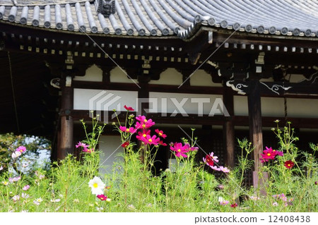 Cosmos of Wenji Temple 12408438