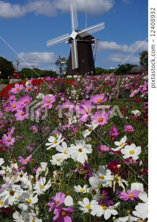 Cosmos and windmill Cosmos and windmill 12408932