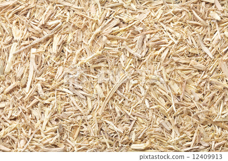 Siberian Ginseng Siberian Ginseng 12409913