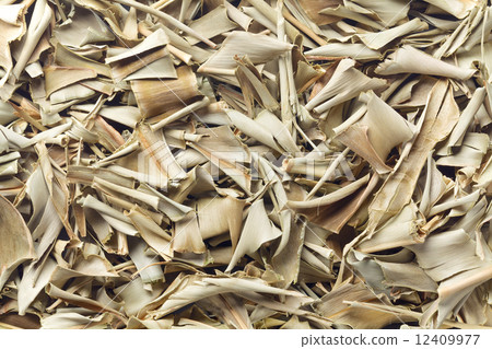 Moon peach Moon peach 12409977