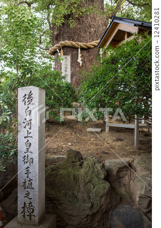 Shin Kumano Shrine · Emperor Shirakawa Embroidered in the hand Straw-aged 800 years old camphor tree 12410281