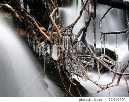 Beautiful Frozen branches Beautiful Frozen branches 12410601