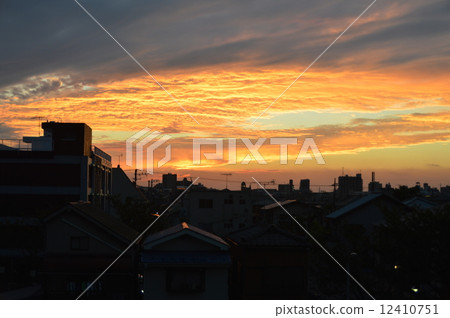 Dusk (bank on the right bank of Edogawa / Katsushika-ku, Tokyo) 12410751