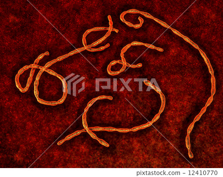 Ebola virus 12410770