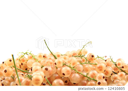 white currant isolated 12410805