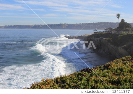 La Jolla La Jolla 12411577