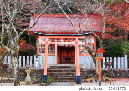 Wakayama Shrine Wakayama Shrine 12411770