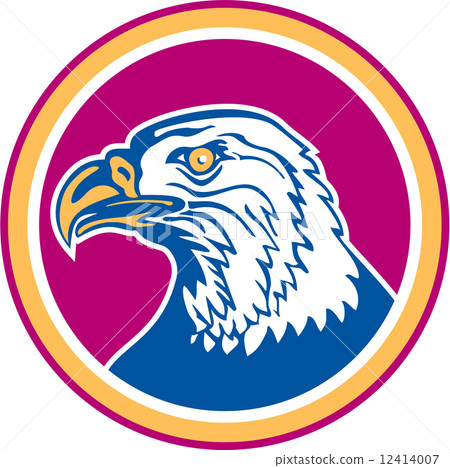 American Bald Eagle Head Side Circle Retro American Bald Eagle Head Side Circle Retro 12414007