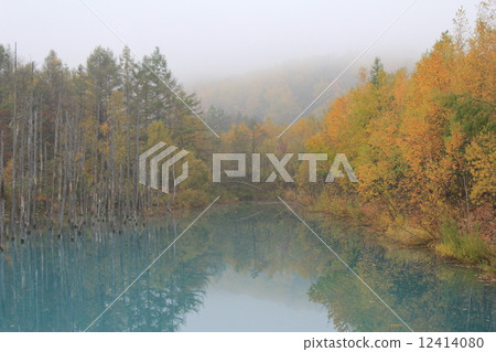 Biei blue pond Hokkaido stunning view Nature autumn leaves Biei blue pond Hokkaido stunning view Nature autumn leaves 12414080