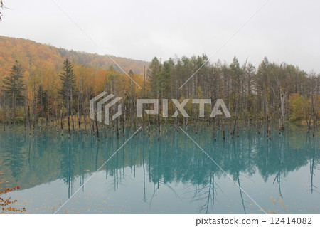 Biei blue pond Hokkaido stunning view Nature autumn leaves Biei blue pond Hokkaido stunning view Nature autumn leaves 12414082