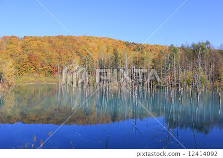 Biei blue pond Hokkaido stunning view Nature autumn leaves Biei blue pond Hokkaido stunning view Nature autumn leaves 12414092