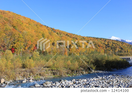 Biei blue pond Hokkaido stunning view Nature autumn leaves Biei blue pond Hokkaido stunning view Nature autumn leaves 12414100