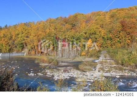 Biei blue pond Hokkaido stunning view Nature autumn leaves Biei blue pond Hokkaido stunning view Nature autumn leaves 12414101