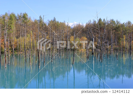 Biei blue pond Hokkaido stunning view Nature autumn leaves Biei blue pond Hokkaido stunning view Nature autumn leaves 12414112
