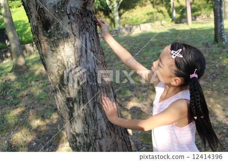 A girl climbing a tree 12414396
