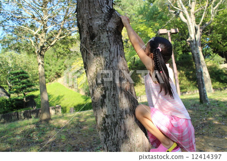 A girl climbing a tree 12414397