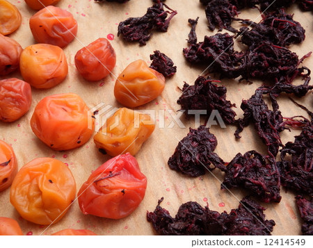 To make delicious Umeboshi, we sun plum and perilla. 12414549