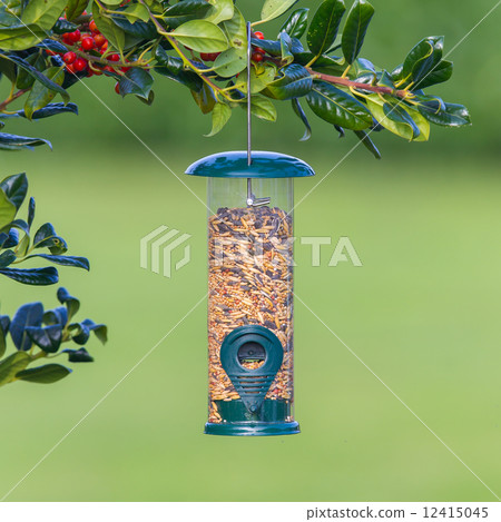 Bird feeder full of seeds 12415045