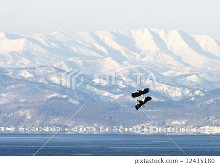 World Natural Heritage Shiretoko's Sea-eagle 12415180