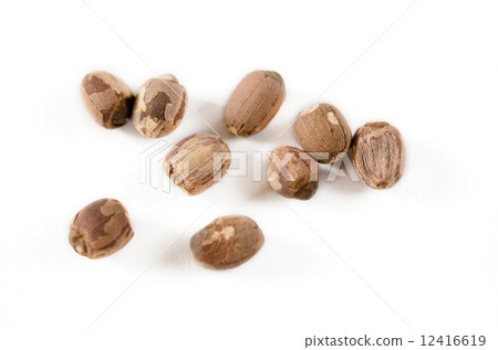 lotus seeds on white lotus seeds on white 12416619