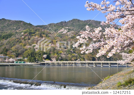 Sakura and Togetsu bridge Sakura and Togetsu bridge 12417251