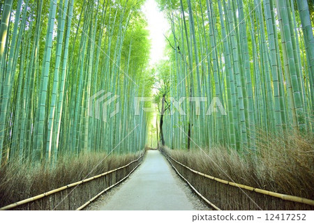 Bamboo Road Bamboo Road 12417252