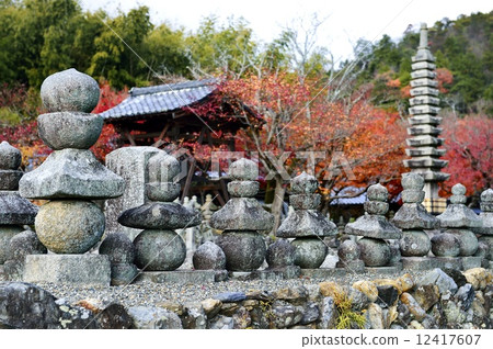 Shinko Buddha Temple Autumn 12417607