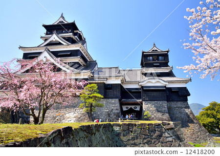 春天的熊本城堡 12418200
