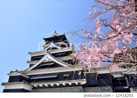 春天的熊本城堡 12418201