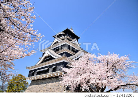 Spring Kumamoto Castle Spring Kumamoto Castle 12418203