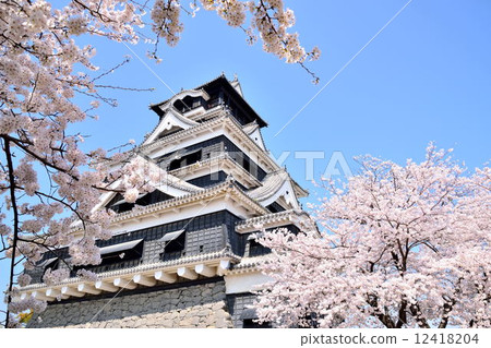 春天的熊本城堡 春天的熊本城堡 12418204