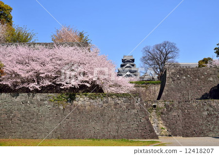 春天的熊本城堡 12418207