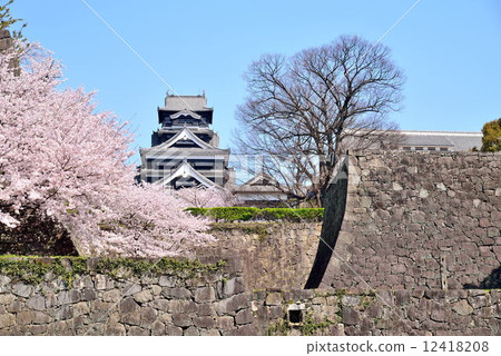 Spring Kumamoto Castle 12418208
