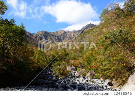 Autumn leaves Autumn leaves 12418846