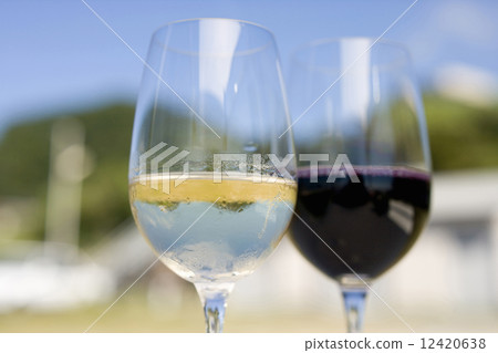 白葡萄酒和紅酒 12420638