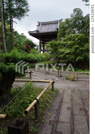 Man Matsuyama Konzenji area neighborhood (bell tower) 12420691