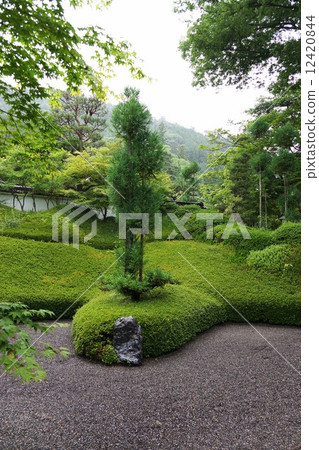 Man Matsuyama Kozenji area neighborhood (Garden of Dragon) 12420844