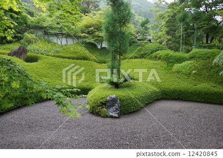 Man Matsuyama Kozenji地區鄰里（龍之花園） 12420845