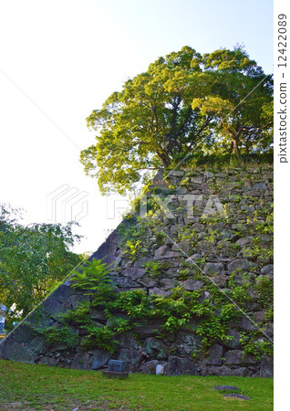 福岡城的石垣（水門附近和福岡市福岡市中央區） 12422089