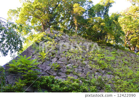 福岡城的石垣(水門附近和福岡市福岡市中央區) 福岡城的石垣(水門附近和福岡市福岡市中央區) 12422090