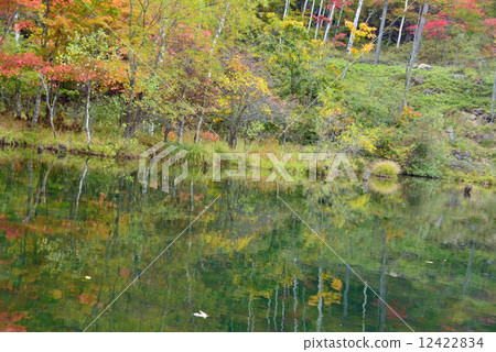 Lake of Yukue in autumn 12422834