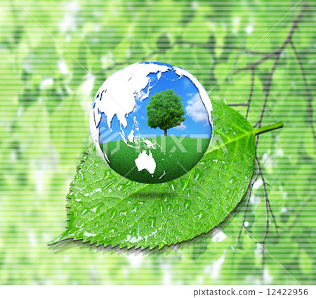Ecology landscape in the earth Ecology landscape in the earth 12422956